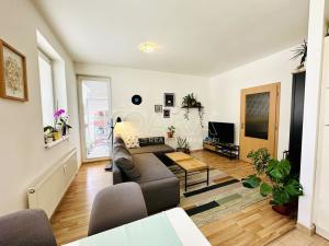Pronájem bytu 2+kk, Plzeň - Východní Předměstí, U Ježíška, 59 m2