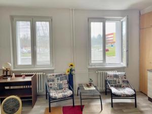 Pronájem bytu 1+kk, Ostrava - Zábřeh, Jugoslávská, 26 m2