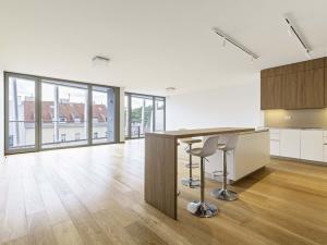 Pronájem bytu 4+kk, Praha - Smíchov, Holečkova, 196 m2