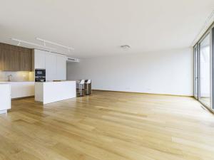 Pronájem bytu 4+kk, Praha - Smíchov, Holečkova, 196 m2