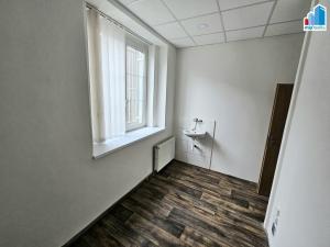 Pronájem obchodního prostoru, Plzeň - Východní Předměstí, Wenzigova, 81 m2
