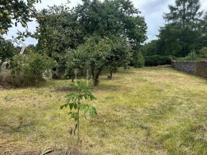 Pronájem rodinného domu, Kamenné Žehrovice, Karlovarská třída, 55 m2