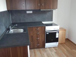 Pronájem bytu 1+1, Beroun, S. K. Neumanna, 28 m2