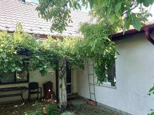 Prodej rodinného domu, Křepice, 160 m2
