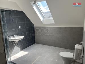 Pronájem bytu 4+kk, Starý Vestec, 96 m2