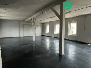 Pronájem skladu, Aš, Okružní, 2800 m2