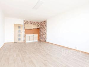 Pronájem bytu 1+kk, Ústí nad Labem, Rozcestí, 26 m2