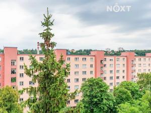 Pronájem bytu 3+1, Praha - Vokovice, Evropská, 68 m2