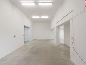 Pronájem skladu, Prostějov, Floriánské nám., 390 m2