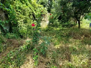 Prodej bytu 2+kk, Brno, Slovinská, 64 m2