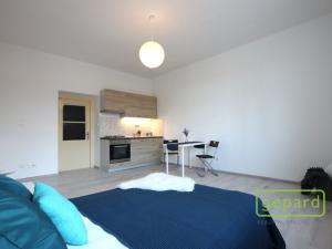 Pronájem bytu 1+kk, Brno - Zábrdovice, Zábrdovická, 30 m2