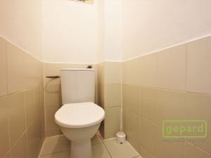 Pronájem bytu 1+kk, Brno - Zábrdovice, Zábrdovická, 30 m2