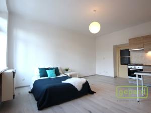 Pronájem bytu 1+kk, Brno - Zábrdovice, Zábrdovická, 30 m2