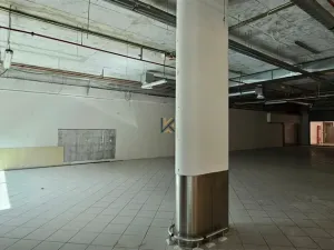 Pronájem obchodního prostoru, Praha - Ruzyně, Aviatická, 770 m2
