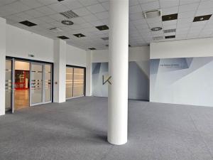 Pronájem obchodního prostoru, Praha - Ruzyně, Aviatická, 253 m2