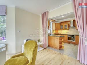 Pronájem obchodního prostoru, Plzeň - Černice, Sněženková, 43 m2