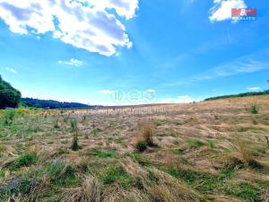 Prodej pozemku pro bydlení, Bolatice - Borová, 1498 m2