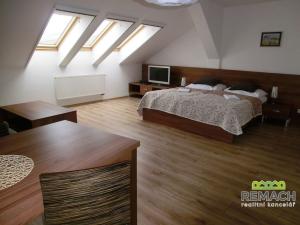 Pronájem ubytování, Blatnička, 830 m2