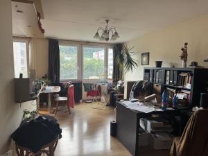 Prodej bytu 3+kk, Praha - Karlín, Molákova, 69 m2
