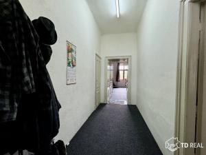 Pronájem bytu 1+1, Brno, Úvoz, 45 m2