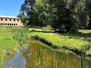 Prodej bytu 1+kk, Býchory, 37 m2