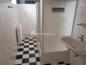 Pronájem bytu 2+1, Děčín - Děčín I-Děčín, Křížová, 80 m2