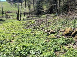 Prodej pozemku pro bydlení, Dolní Moravice - Nová Ves, 626 m2