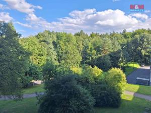 Pronájem bytu 1+kk, Hrabyně, 42 m2