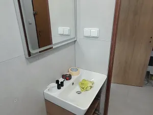 Pronájem bytu 1+1, Frenštát pod Radhoštěm, 38 m2