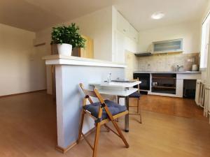 Prodej bytu 1+kk, Teplice, Alejní, 31 m2