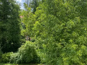 Prodej vily, Úštěk, 240 m2