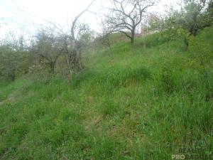 Prodej zahrady, Praha, Karlická, 529 m2