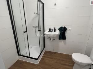Pronájem bytu 1+kk, Uhlířské Janovice, 47 m2