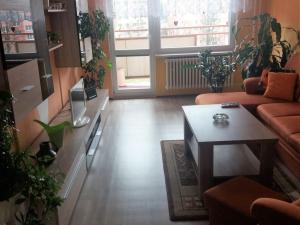 Pronájem bytu 2+1, Bruntál, tř. Obr. míru, 56 m2