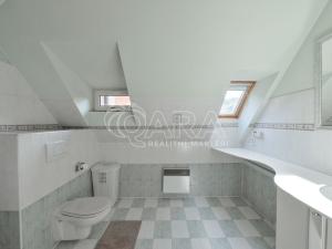 Pronájem bytu 4+1, Davle, K pivovaru, 214 m2