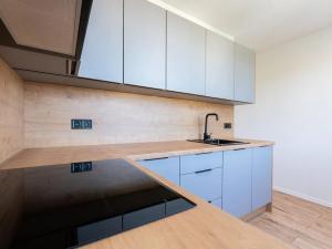 Pronájem bytu 3+kk, Most, Jaroslava Vrchlického, 57 m2