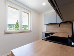 Pronájem bytu 3+kk, Most, Jaroslava Vrchlického, 57 m2