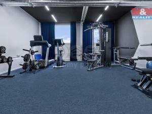 Pronájem bytu 1+kk, Praha, Čenětická, 22 m2