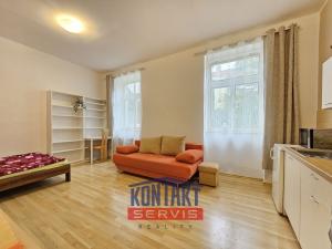 Pronájem bytu 1+kk, České Budějovice, B. Smetany, 29 m2