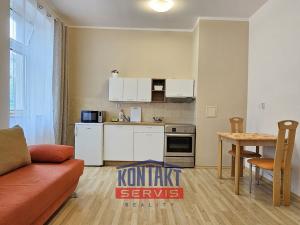 Pronájem bytu 1+kk, České Budějovice, B. Smetany, 29 m2
