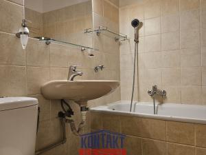 Pronájem bytu 1+kk, České Budějovice, B. Smetany, 29 m2