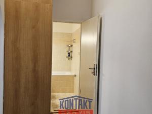 Pronájem bytu 1+kk, České Budějovice, B. Smetany, 29 m2