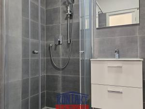 Pronájem bytu 3+kk, České Budějovice, Mikuláše z Husi, 62 m2