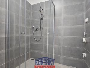 Pronájem bytu 3+kk, České Budějovice, Mikuláše z Husi, 53 m2