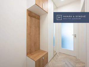 Pronájem bytu 1+kk, Brno, Cejl, 30 m2