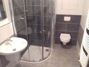 Pronájem bytu 2+kk, České Budějovice - České Budějovice 3, Riegrova, 41 m2