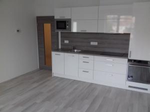 Pronájem bytu 2+kk, České Budějovice - České Budějovice 3, Riegrova, 41 m2