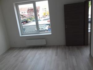Pronájem bytu 2+kk, České Budějovice - České Budějovice 3, Riegrova, 41 m2