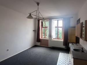 Pronájem bytu 2+kk, České Budějovice - České Budějovice 3, Nová, 51 m2