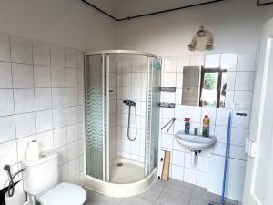 Pronájem bytu 2+kk, České Budějovice - České Budějovice 3, Nová, 51 m2